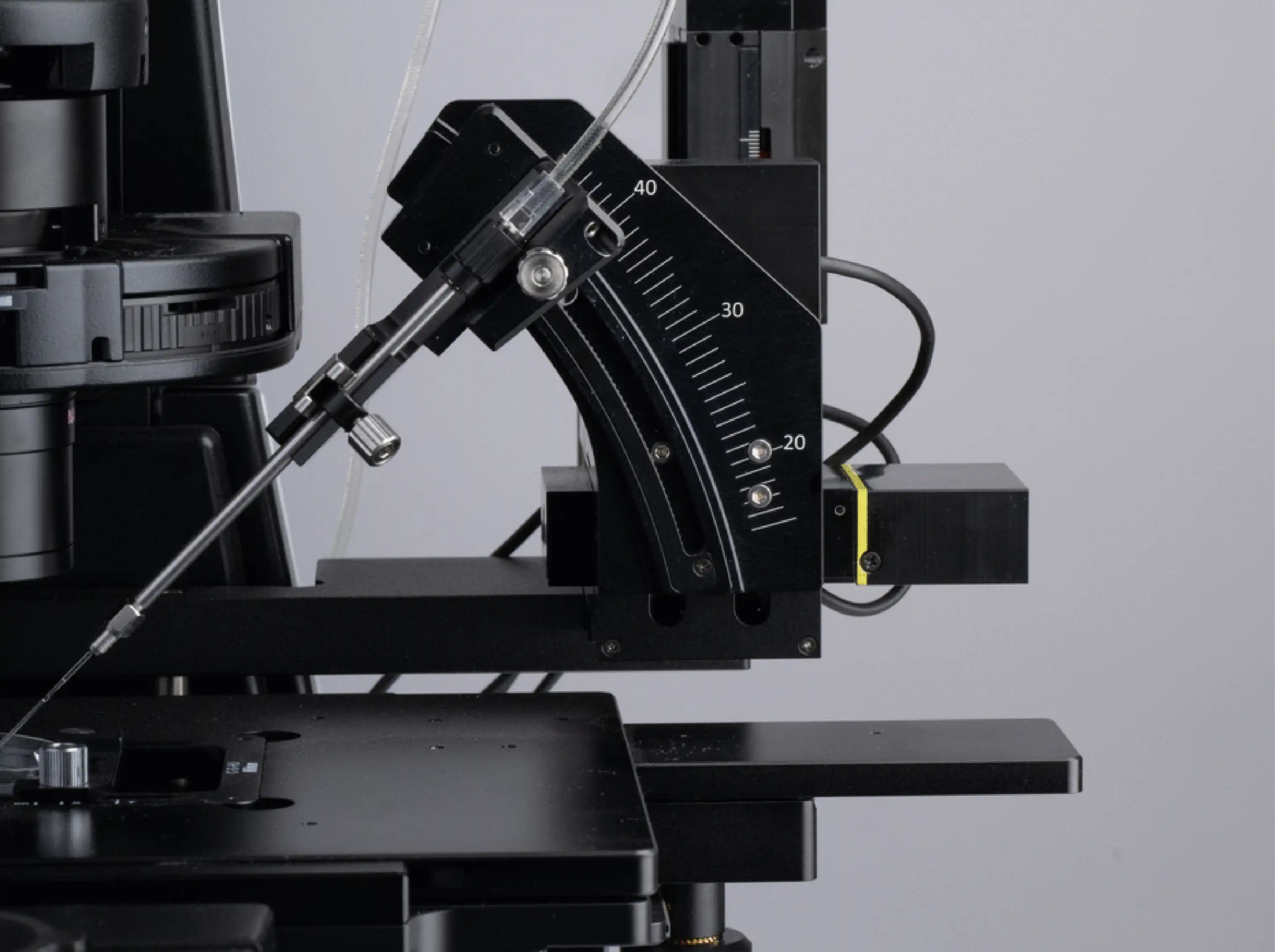 In Vitro Fertilization (IVF) | KSA